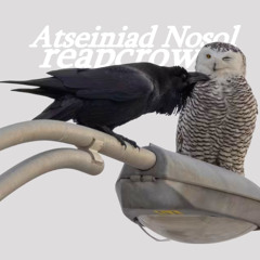 Atseiniad nosol (p.neverforever)