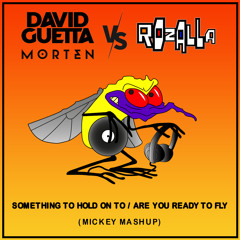 David Guetta & Morten Vs. Rozalla - Something To Hold On To / Are you ready to fly (Mickey Mashup)