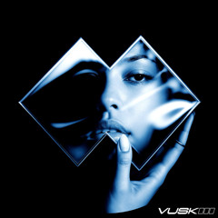 Disco Lines & Ship Wrek - I Don't Trust A Soul (Vuskiii Remix)