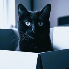 Living in the Lost and Found