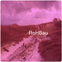 "RoHBau" sessions part