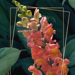 BOTANICAL GARDENS.