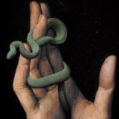 COBRA (20prettyhusky)