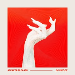 Speaker Pleaser