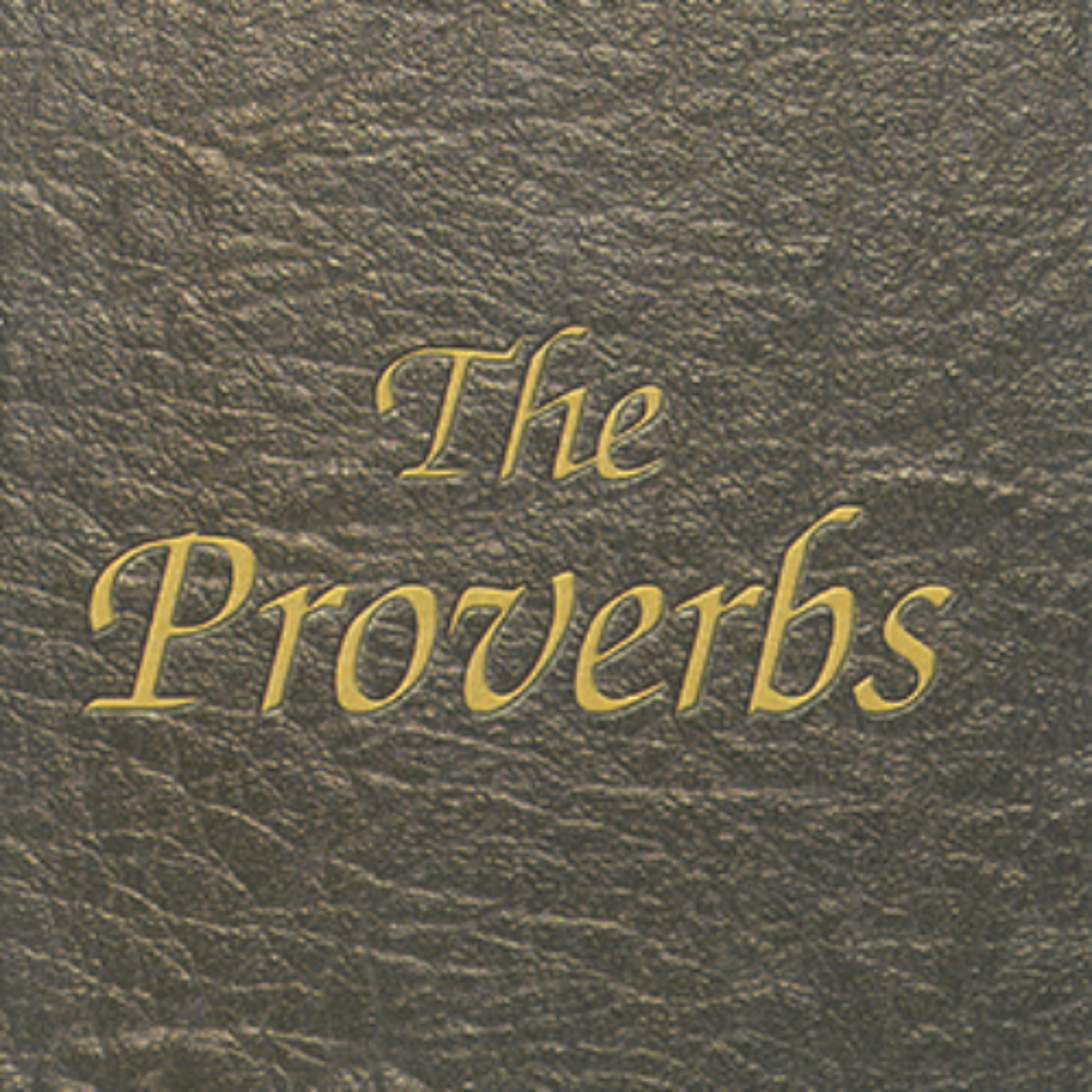Proverbs 3:13-25 - The Blessings of Wisdom (2-13-25) episode artwork