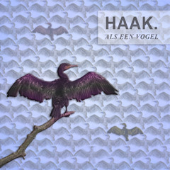HAAK. - Als Een Vogel