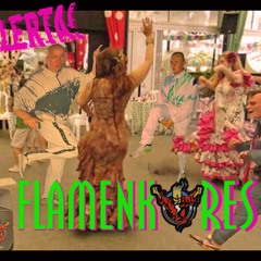 Alerta!!! FLAMENKORES!!!