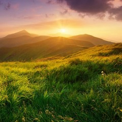 Awareness By Oswald Chambers