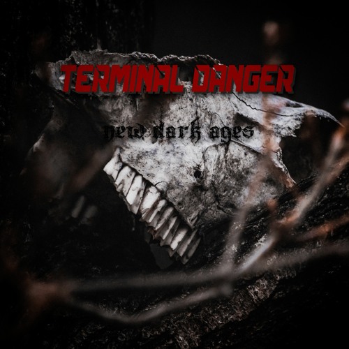 Terminal Danger - New Dark Ages