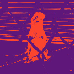 THERMAL IMAGE