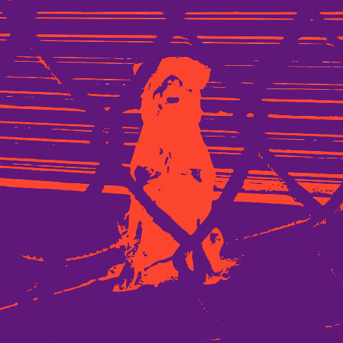 THERMAL IMAGE