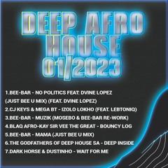Deep Afro House SA January 2023 Mix - DjMobe