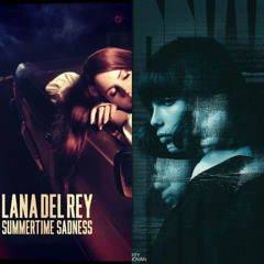 Martin Garrix, Third Party Vs Lana Del Rey - Carry You Vs Summertime Sadness (Lee Barzola Mashup)