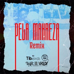 Pela Mahreza Remix - Dj Tibeiras & Nery Pró( Mr Happy)