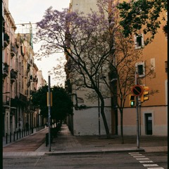 Sleepwalking