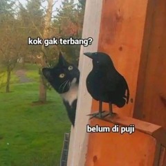 (REVISI) ALEX MICA - DORA DORA 2024 [SetyaRMX] #keep.