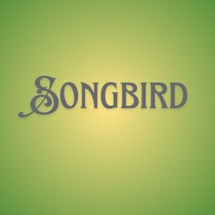 Travelin Gypsy Original Song by Sylvie Songbird