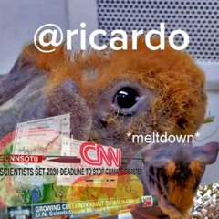 Here We Go Again | Another Ricardo Meltdown