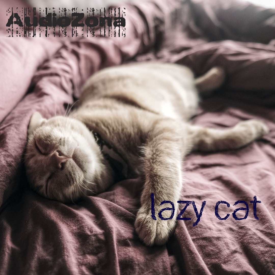 Stream Lazy Cat by AudioZona | Listen online for free on SoundCloud