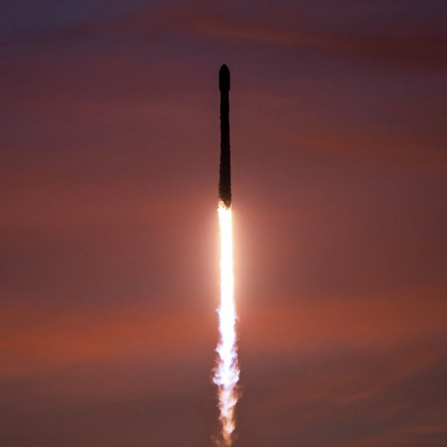 NEW WAVE 🌊🏄🏾‍♂️