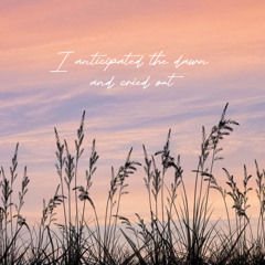 I anticipated the dawn and cried out (w/ HP)