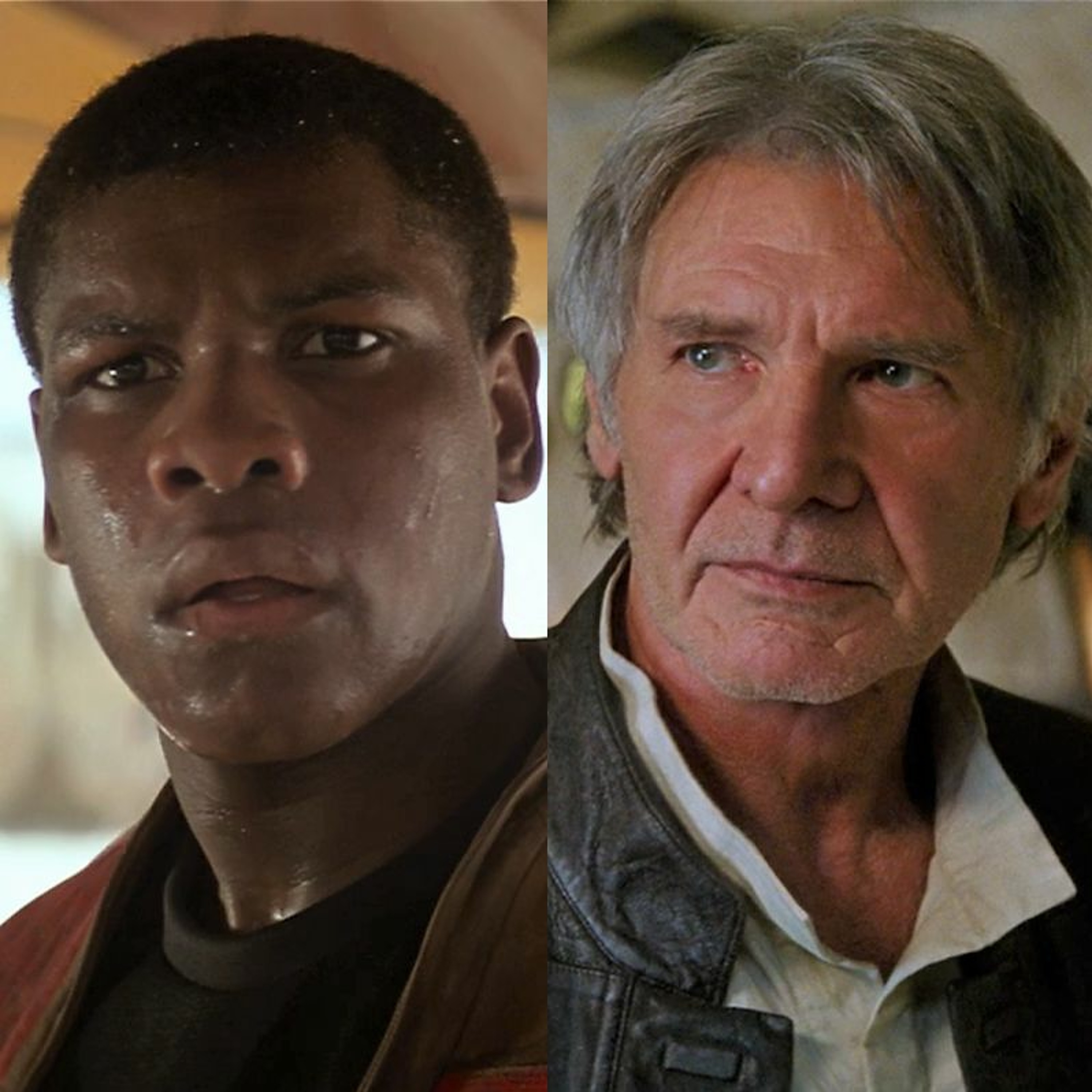 A Star to Steer Her By