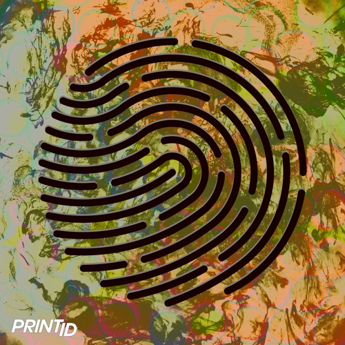 Ain't Da Bomb (Original Mix)