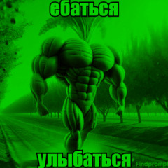 ебаться улыбаться (speed up)