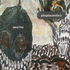 + PILO PLACENTINE - SUKA