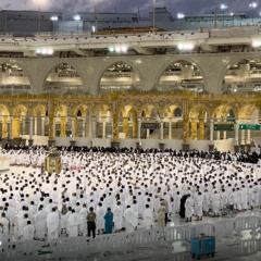 جمالٌ وخشوع في المسجد النبوي || الشيخ عبدالله البيعيجان .. من سورة فصلت