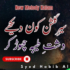 Sair e Gulshan Kon Dekhe Dashte Taiba Chhod Kar | Syed Habib Ali Abidi | New naat 2025