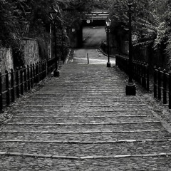 Walk on the Wild Side (Lou Reed Cover) by Regis