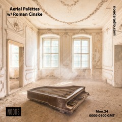 Aerial Palettes w/ Roman Ćinske (February) :: Noods Radio