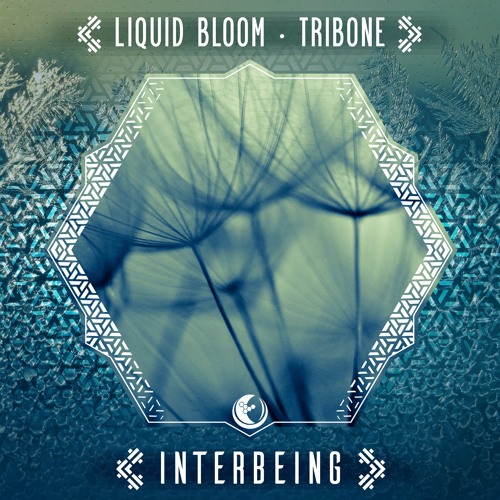 3 Liquid Bloom & TRIBONE - Interbeing (Kaya Project Remix)