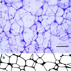 test_01 REC - 2024 - 03 - 25