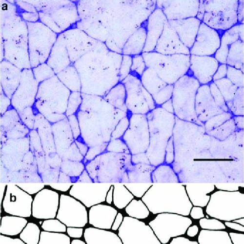 test_01 REC - 2024 - 03 - 25