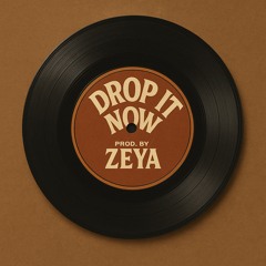 Drop It Now (Official Mix)