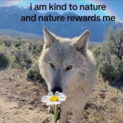 masongracias - vremya pokajet /w babiikana