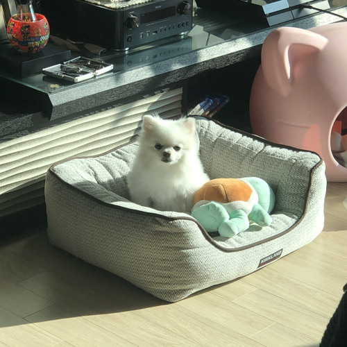 PUPPY