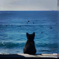 #离开我的依赖/Buông bỏ sự phụ thuộc nơi anh