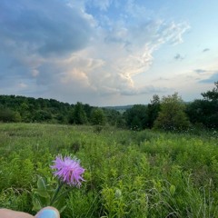 Project 141 (Live from Kitchener, It's Saturday Night)