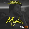 MEOKO Podcast Series | Gescu - Recorded at SW30 DJ mix artwork - Electronic music tracklist cover image
