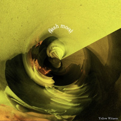 Flash mood - Yellow Witness Prod.daijo kaisei