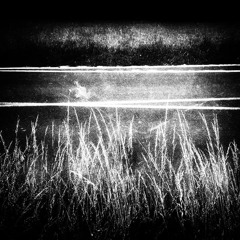 24 Preludi e Ricercari