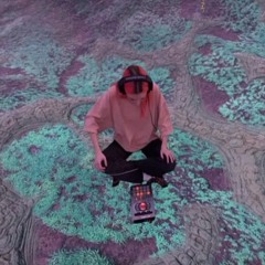 Clown Cleaner (live from Virtual Utopia) - Negative Gemini