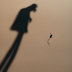 A Glance at the Ground