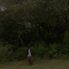 FALLIN DOWN
