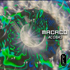 Macaco - zion 604