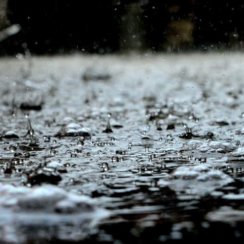 petrichor
