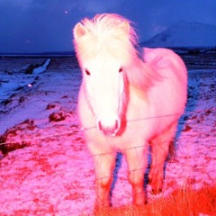 They Horse You Unicorn